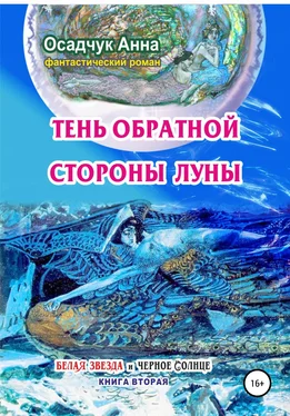 Анна Осадчук Тень обратной стороны Луны обложка книги