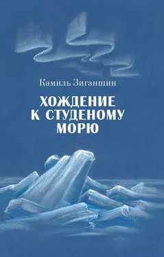 Камиль Зиганшин Хождение к Студеному морю обложка книги