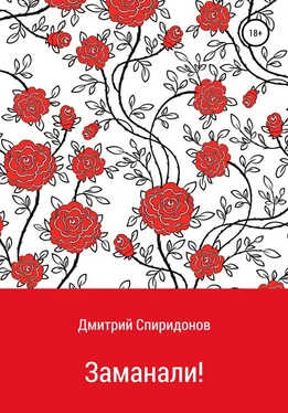 Дмитрий Спиридонов Заманали! обложка книги
