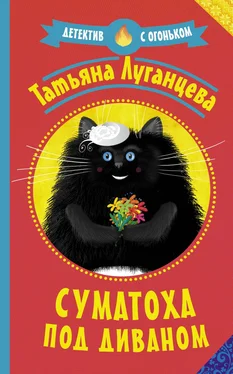 Татьяна Луганцева Суматоха под диваном обложка книги