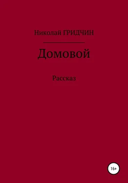 Николай Гридчин Домовой обложка книги