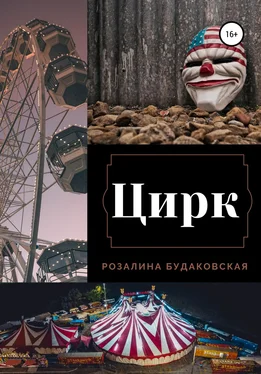 Розалина Будаковская Цирк обложка книги