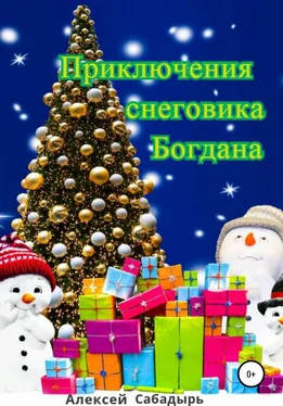 Алексей Сабадырь Приключения снеговика Богдана обложка книги