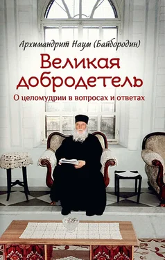 архимандрит Наум (Байбородин) Великая добродетель. О целомудрии в вопросах и ответах