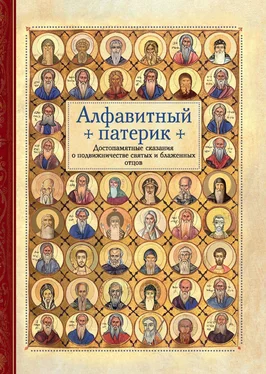 Сборник Алфавитный патерик. Достопамятные сказания о подвижничестве святых и блаженных отцов обложка книги