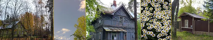 Дачи стали расти как на дрожжах И в 1911 году согласно переписи в Терийоках - фото 25