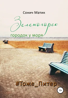 Сонич Матик Зеленогорск – городок у моря #Тоже_Питер обложка книги