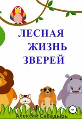 Алексей Сабадырь - Лесная жизнь зверей