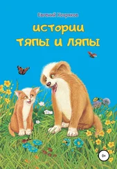 Евгений Хохряков - История Тяпы и Ляпы
