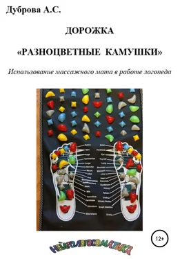 Анастасия Дуброва Дорожка «Разноцветные камушки». Использование массажного мата в работе логопеда обложка книги