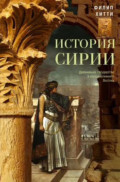 Филип Хитти История Сирии. Древнейшее государство в сердце Ближнего Востока обложка книги