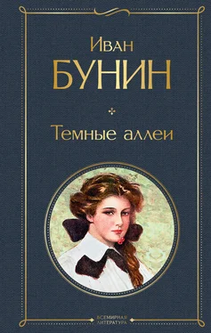 Иван Бунин Темные аллеи (сборник) обложка книги