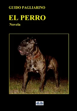 Guido Pagliarino El Perro обложка книги