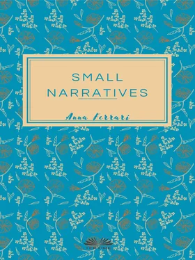 Anna Ferrari Small Narratives обложка книги