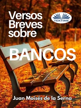 Juan Moisés De La Serna Versos Breves Sobre Bancos обложка книги