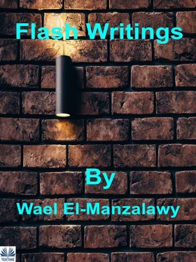Wael El-Manzalawy Flash Writings обложка книги