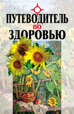 Вячеслав Мельников Путеводитель по здоровью обложка книги