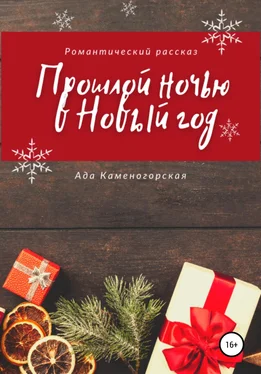 Ада Каменогорская Прошлой ночью в Новый год обложка книги
