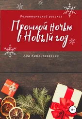 Ада Каменогорская - Прошлой ночью в Новый год