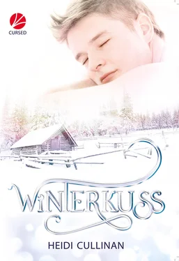 Heidi Cullinan Winterkuss обложка книги