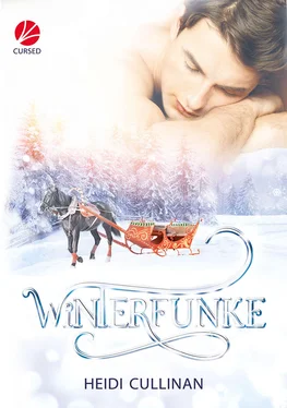 Heidi Cullinan Winterfunke обложка книги