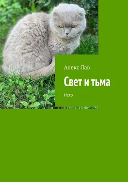 Алекс Лав Свет и тьма. Истр обложка книги