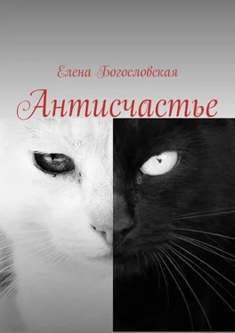 Елена Богословская Антисчастье обложка книги