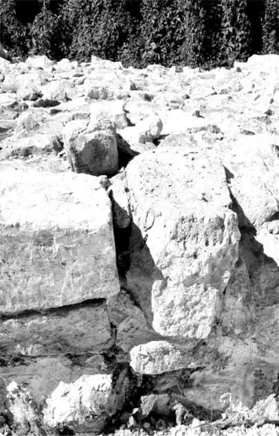 Остаток стены Белого города Каменная стена Белого города простояла по - фото 2