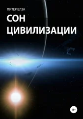 Питер Блэк - Cон цивилизации