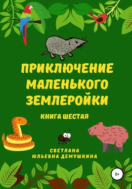 Светлана Демушкина Приключение Маленького Землеройки. Книга шестая обложка книги