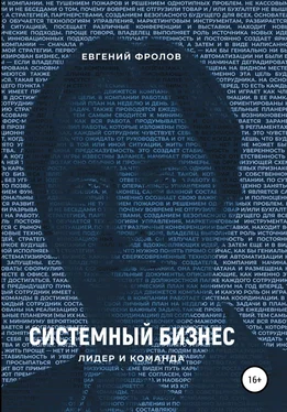 Евгений Фролов Системный бизнес. Лидер и команда обложка книги