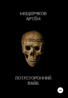 Артем Мещеряков Потусторонний вайб обложка книги