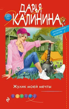 Дарья Калинина Жулик моей мечты обложка книги