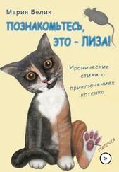 Мария Белик - Познакомьтесь, это – Лиза!