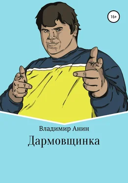 Владимир Анин Дармовщинка обложка книги