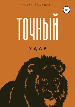 Решат Абадиев Точный удар обложка книги