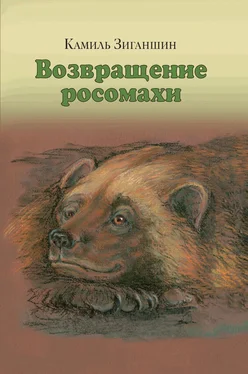 Камиль Зиганшин Возвращение росомахи. Сборник обложка книги