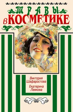 Екатерина Левкова Травы в косметике. Пособие для женщин по уходу за собой в домашних условиях обложка книги