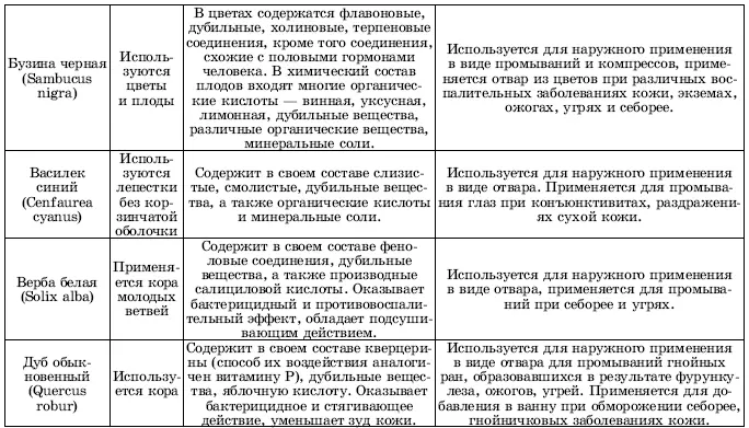 Травы в косметике Пособие для женщин по уходу за собой в домашних условиях - фото 3