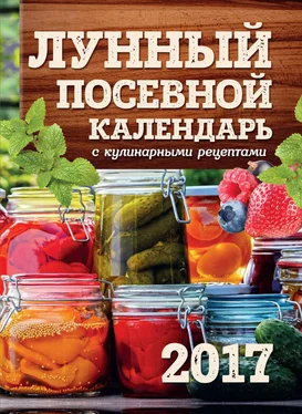 Виктория Бакунина Лунный посевной календарь с кулинарными рецептами 2017 обложка книги