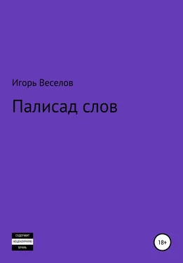 Игорь Веселов Палисад слов обложка книги