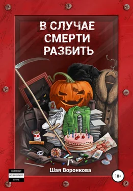 Шая Воронкова В случае смерти разбить обложка книги