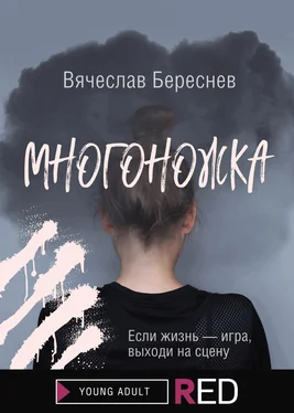 Вячеслав Береснев Многоножка обложка книги