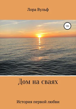 Лора Вульф Дом на сваях обложка книги