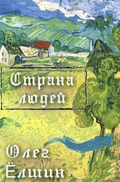 Олег Ёлшин Страна людей обложка книги