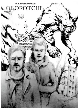 Игорь Гребенчиков Оборотень обложка книги