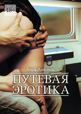 Лера Дикпик Путевая эротика обложка книги