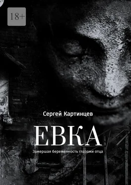 Сергей Картинцев Евка. Замершая беременность глазами отца обложка книги