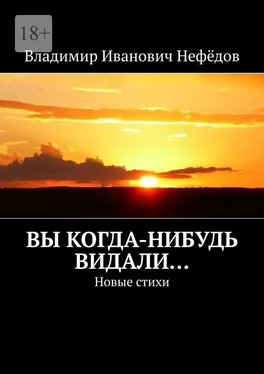 Владимир Нефёдов Вы когда-нибудь видали… Новые стихи обложка книги