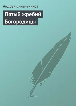 Андрей Синельников Пятый жребий Богородицы обложка книги